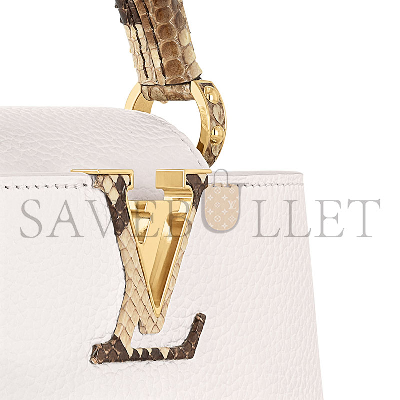 LOUIS VUITTON CAPUCINES MINI N85515 (21*13.6*8cm) 